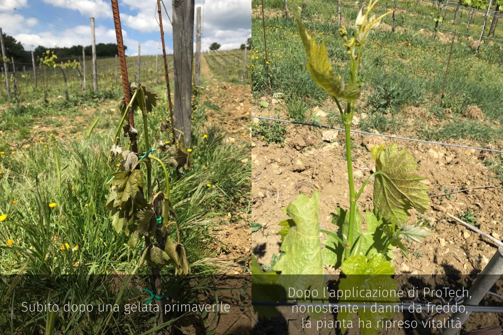 protech sul freddo