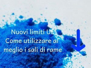 Come utilizzare al meglio i sali di rame